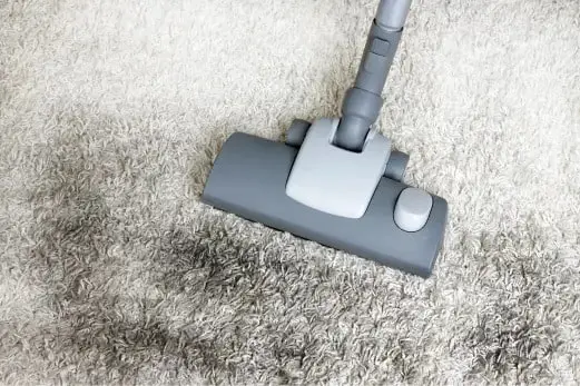 Carpet Cleaning in Torquay